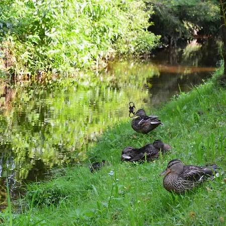 Dita - Adrspach Teplice nad Metují