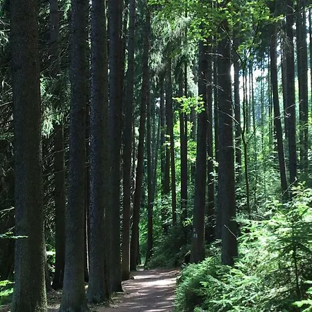 Penzion Dita - Adrspach 3*