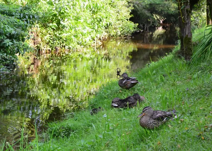 Dita - Adrspach Teplice nad Metují