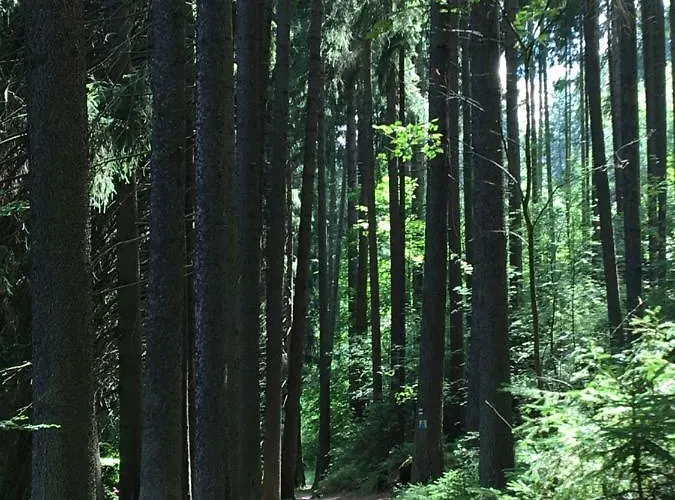 Pensionat Dita - Adrspach 3*